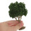 Miniature Train Trees for DIY Scenery and Architectural 7