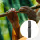 Bamboo Flute Bag Portable Waterproof Gray 7
