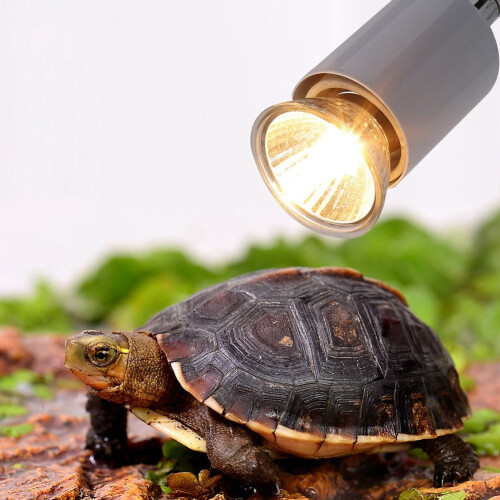 Yosoo Heating Light Bulb Aquarium Reptile Lamp 75W