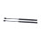 Rear Window Glass Lift Supports 2 pcs 4