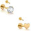 Gold Stud Earrings Flat Back 16G G23 Titanium Internal 1
