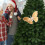 Glitter 3D Plastic Pearl Butterfly Clips Christmas Tree 5