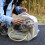 Karymi Pet Carrier Backpack Astronaut Design 7kg 6
