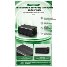 Ozon-Desinfektionsmaschinen-Generator Entfernt Formaldehydgeruch Luftreinigung Sterilisation Desinfektion Auto 500mg