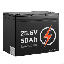 Lithium-Ionen-Batterie 24 V LiFePO4 50 Ah mit Bluetooth-Duoku-BMS 30 A integriert-wiederaufladbar-tiefe Entladung-4000 Zyklen-1280 Wh