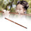 Bamboo Flute D Key Polished Woodwind Instrument for 7