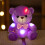 Glowing Color-Changing Bear Plush Toy with LED Lights and 1