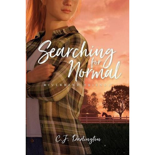 Searching for Normal by C. J. Darlington Paperback Book