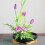 Flower Arranging Frog Pin Round Holder 1 Set 3