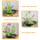 Flower Arranging Frog Pin Round Holder 1 Set 6