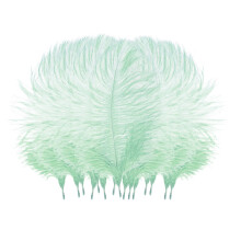 Ostrich Feathers Craft Supplies 50 pcs