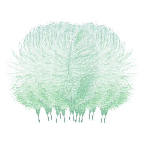 Ostrich Feathers Craft Supplies 50 pcs