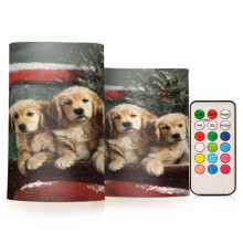Flameless LED Candles with Remote Control Set of 2