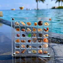 Acrylic Shell Storage Box Transparent Mini Specimen Box