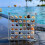Acrylic Shell Storage Box Transparent Mini Specimen Box 1