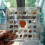 Acrylic Shell Storage Box Transparent Mini Specimen Box 7