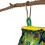Hanging Hammock House for Parrot Cage 1 pc 5