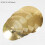 Brass Cymbals Set 8 10 12 14 16 Inch 2
