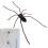 Brown Spider Fridge Magnet 3D Realistic Halloween Decoration 2