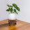 Flower Pot Base Antique Display Stand for Tea Set 7