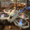 Mini Drone with HD Camera and Remote Control Gray 7