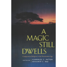 Magic Still Dwells Paperback Book