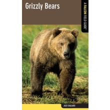 Grizzly Bears by Jack Ballard Paperback Book