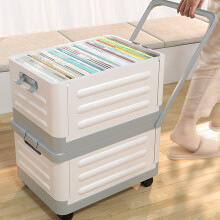 Foldable Rolling Storage Box with Lid 2-Pack