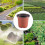 200 PçS 4 Polegadas Mudas de Flores de PláStico Suprimentos de Viveiro Vaso/Vasos Recipientes Vasos de Sementes Vasos de PlantaçãO 6