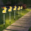 LED Easter Bunny Solar Ground Lights 5-Pack 5