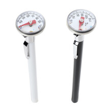 Water Thermometer Black 2 Pieces 5.3 x 1.1 Inches