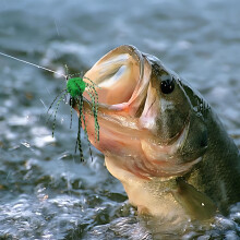 Handmade Dice Bait Fishing Lures - PVC Catfish Bait Set