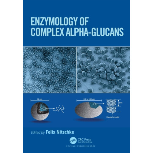 Enzymology of Complex AlphaGlucans Paperback Book