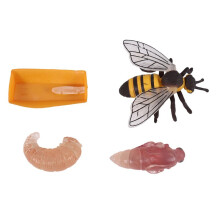 Paquete de 4 Figuritas de Insectos Ciclo de Vida de la Abeja de Miel Juguetes de Figuras de Insectos Realistas Juguete de Modelo de Ciencia Educativa