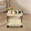 Mobile Storage Cart 2-Tier Ventilated Durable Plastic 5