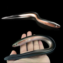 Real EEL Fishing Lure Slow Sinking Pre-Rigged