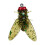 Bionic Fly Fishing Bait Dry/Wet Artificial Flies 20PCS 1