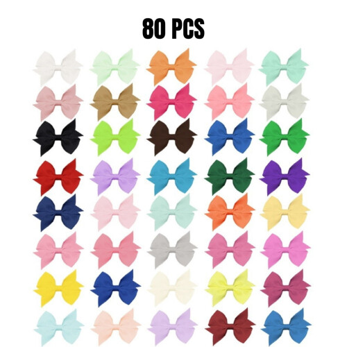 Alligator Hair Clips 80 pcs 40 solid colors