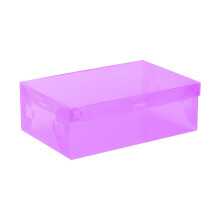 Foldable Plastic Shoe Box Organizer Transparent Stackable