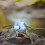 Portable Three-Burner Camping Stove - Foldable Windproof 6