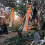 Pumpkin Ghost Windsock Set 2-Piece Quick-Drying 3