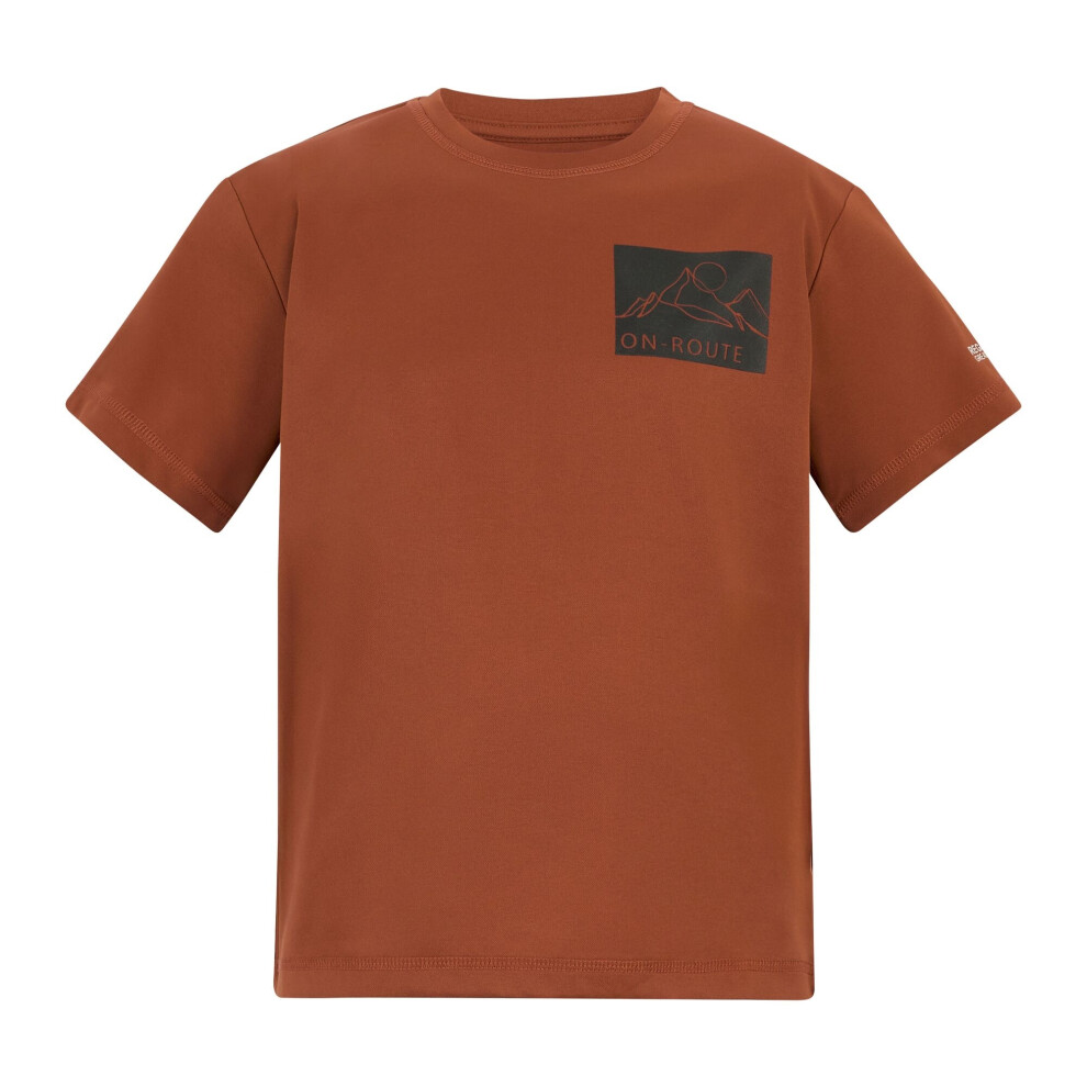 Regatta (9-10 Years, Brick) Childrens/Kids Alvarado Back Print T-Shirt