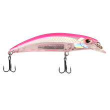 Fishing Minnow Lure Transparent 2 pcs 6.5 cm