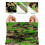 Summer Camo Neck Gaiter Scarf for Men 8 Pack 7