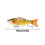 Bionic Swimming Fishing Lure Robotic Freshwater Bait 3D 3