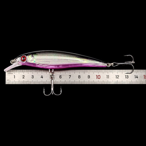 Plastic Minnow Lure Fishing Bait 2 Pack 2
