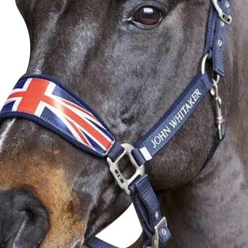 (Cob, Navy) Whitaker Union Jack Padded Horse Headcollar 2