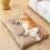 Waterproof Elevated Dog Bed for Small Medium Dogs and Cats 6