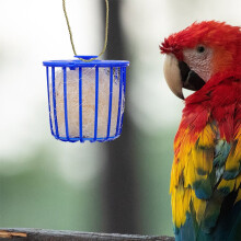 Vogelnestmand voor papegaaien, vinken, valkparkieten en duiven