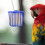 Nichoir pour perroquets, pinsons, calopsittes, pigeons 1